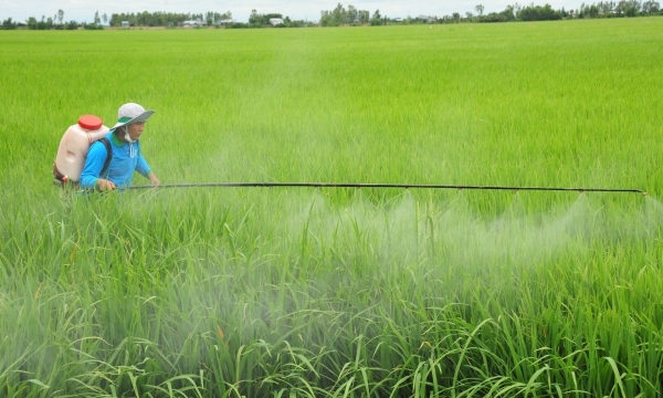 Vietnam has over 800 biopesticide names